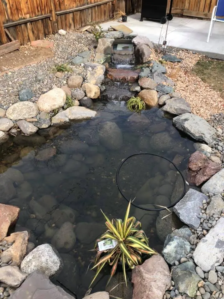 After: the same pond rebuilt with clean stone edges, a stream and clear water