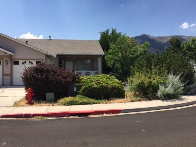 Before: an overgrown front yard with tall shrubs and weeds along the curb