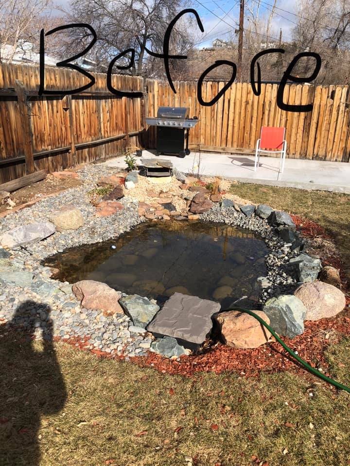Before: a tired backyard pond with a muddy edge and a garden hose