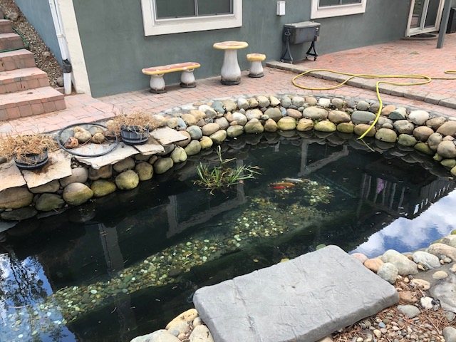 A clear raised koi pond edged with river rock beside a paver patio
