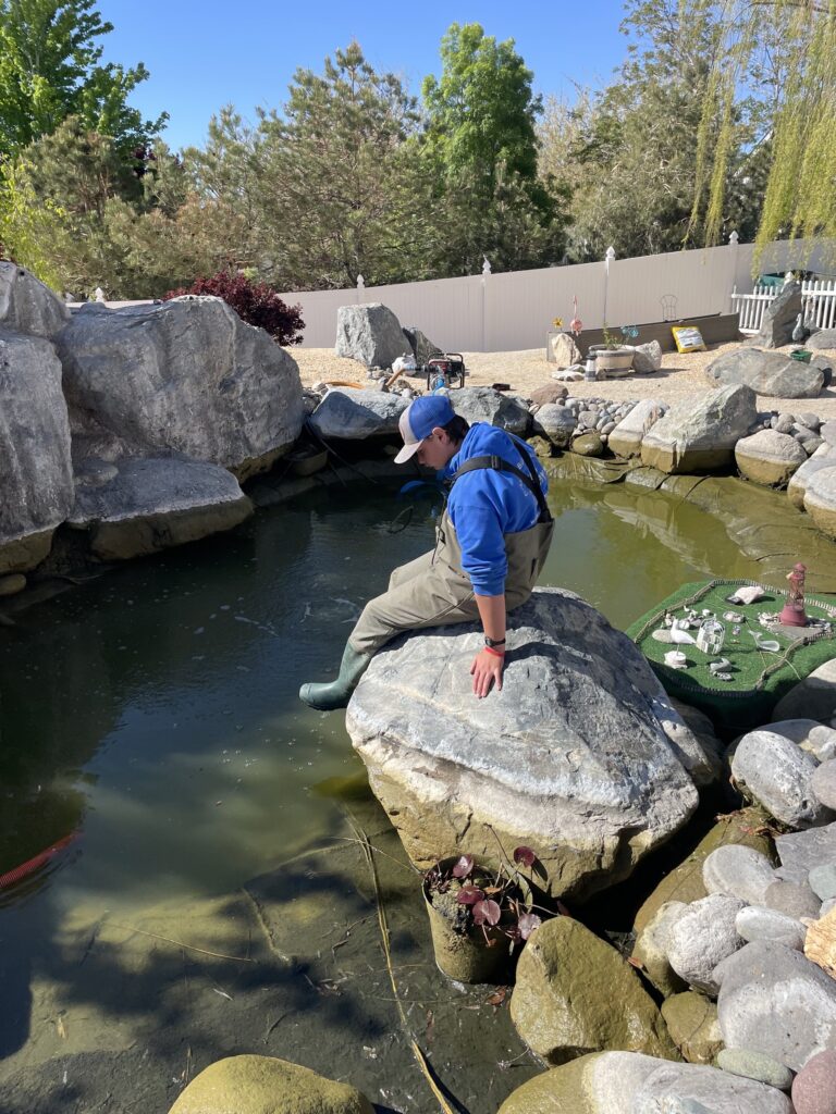 A Ponds By May technician in waders working on a boulder-edged pond