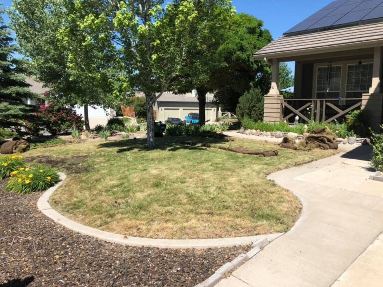 A curved lawn edge with fresh green grass beside a rock bed
