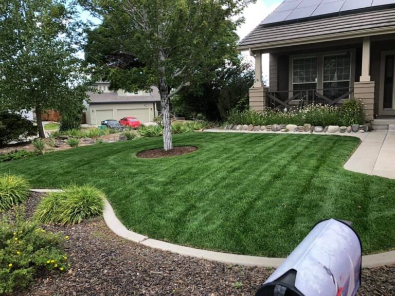 A green front lawn with a curved concrete border