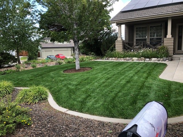 A freshly mowed lawn with neat stripes in front of a house