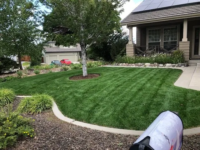 A freshly mowed lawn with neat stripes in front of a house