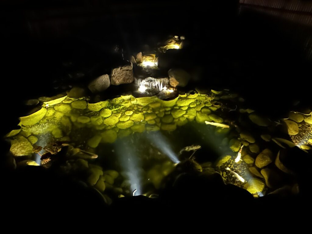 A koi pond at night, lit from below by underwater lights that glow gold across the stones