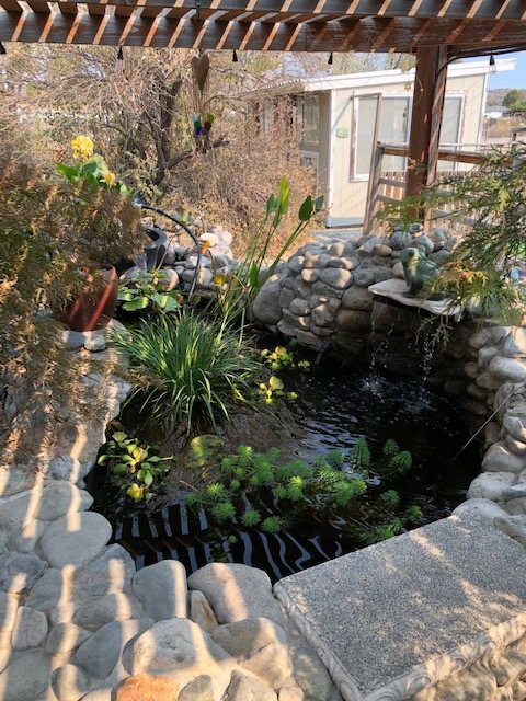 A round pond edged in river rock under a pergola