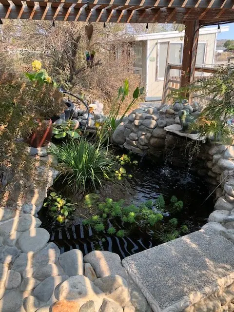 A round pond edged in river rock under a pergola