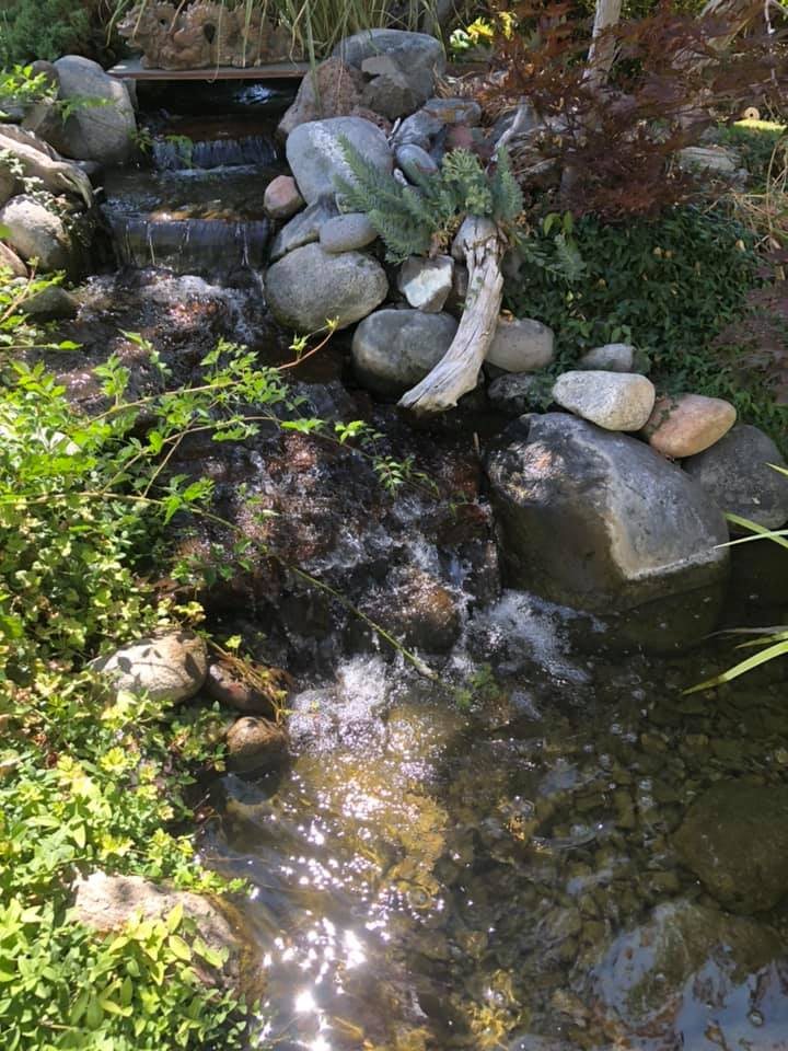 A shaded stream winding between boulders and plants