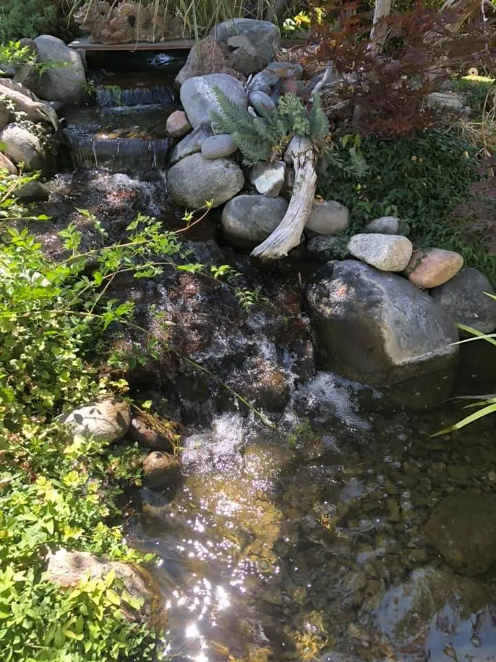 A shaded stream winding between boulders and plants